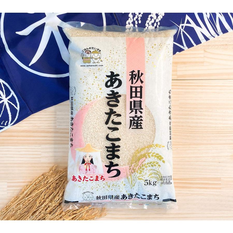 お米 秋田県産あきたこまち 30kg（5kg×6） 令和5年産