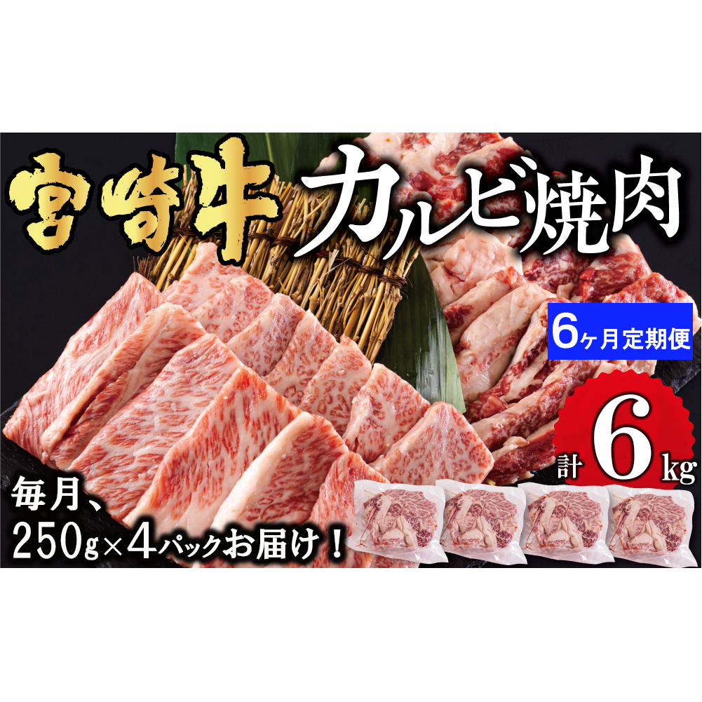  宮崎牛 カルビ 焼肉 1kg (250g×4) ×6回 合計6kg 小分け 真空包装 バラ 冷凍 送料無料 国産 牛 肉 焼肉 BBQ バーベキュー キャンプ カルビ丼 普段使い 収