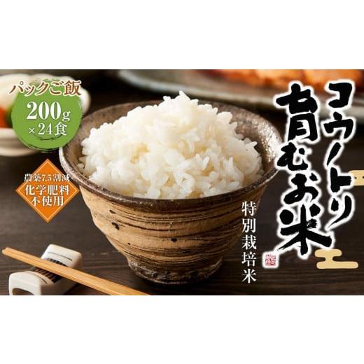 ふるさと納税 兵庫県 豊岡市 パックご飯 200g×24食 コウノトリ育むお米 減農薬 米 ライス