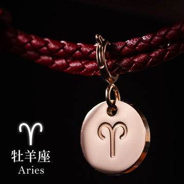 [RS自訂]占星物語可換墜飾星座符號可調式真皮編織手環【VRS148-159】