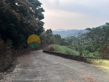 頭汴坑八甲農地釋出｜台中市太平區頭汴坑段