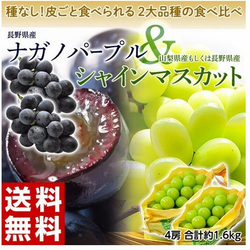 シャインマスカット ナガノパープル 山梨県 長野県産 各2房 計4房 約1 6kg 常温または冷蔵 送料無料 通販 Lineポイント最大0 5 Get Lineショッピング