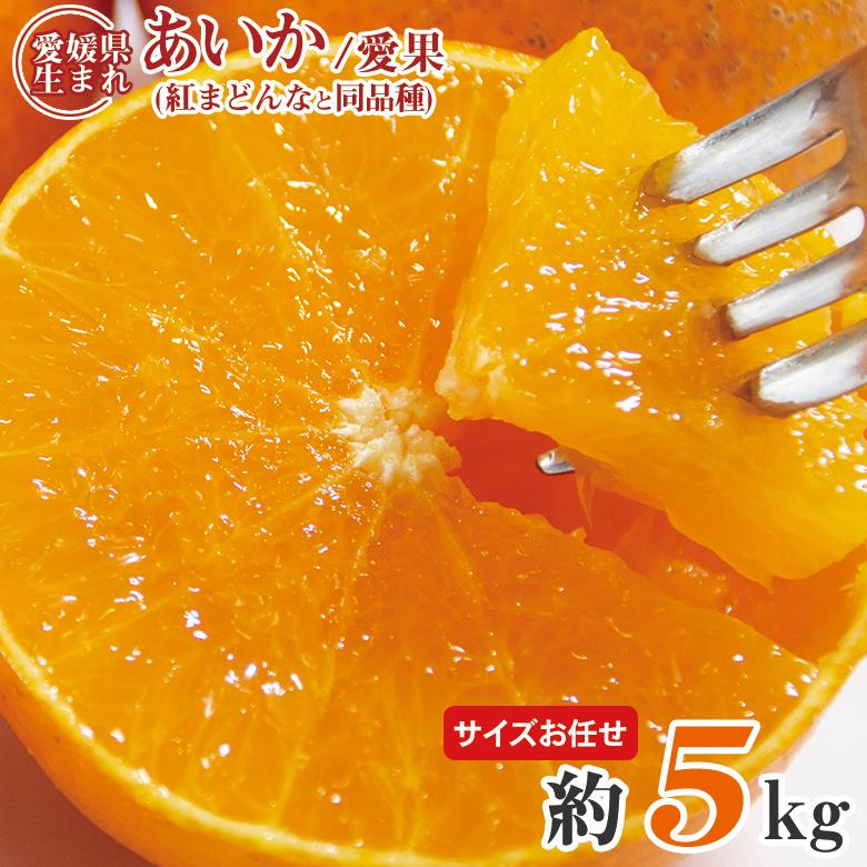 安心の自社検品 送料無料 愛媛県産 あいか 愛果 紅まどんな みかん 愛媛みかん 愛まどんな サイズお任せ 約 5kg 国産みかん ご家庭用 愛媛県