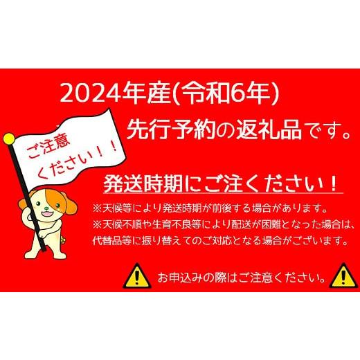 ふるさと納税 山形県 三川町 食の都庄内　庄内のさくらんぼ「紅さやか」800gバラ詰め※2024年6月上旬〜中旬頃発送予定