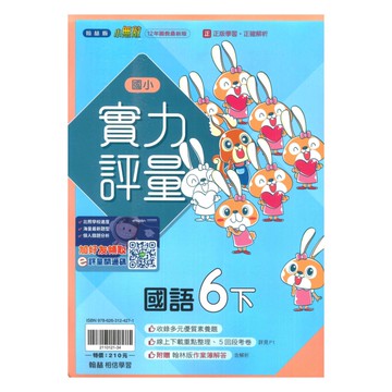 翰林國小實力評量國語6下