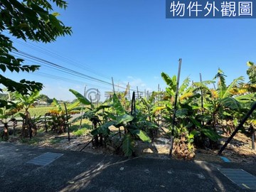 白河『臨6米路』2.4分特農｜台南市白河區馬稠後段