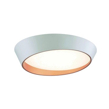 60W三色變光吸頂燈 B157-58-091-2