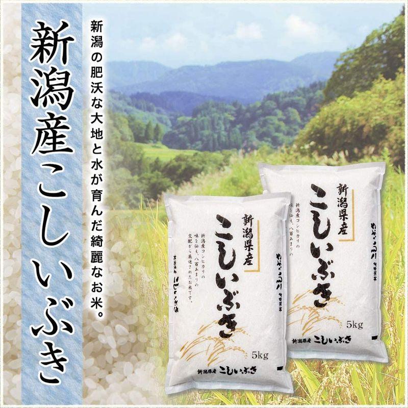 新米新潟県産 こしいぶき 白米 15kg (5kg×3 袋) 令和4年産