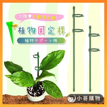 【台灣出貨】植物支撐架 植物支架 植物支撐桿 植物固定器 植物固定 植物支撐杆 植物支撐 自動澆水器 澆花神器 支撐架