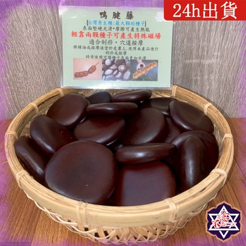 [念念不忘24h出貨]  鴨腱藤 台灣原生種子 刮痧 穴道按摩  全身按摩 舒壓 按摩刮痧 天然種子 按摩 按摩保健