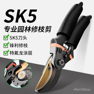 💥在臺24H💥德國進口修枝剪樹枝剪園林修剪SK5強力粗支剪省力修花枝家用神器 CYRL