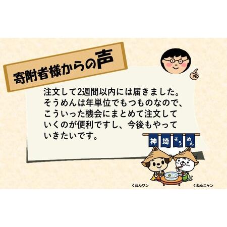 ふるさと納税 神埼そうめん「友白髪」 30袋入り (H045103) 佐賀県神埼市