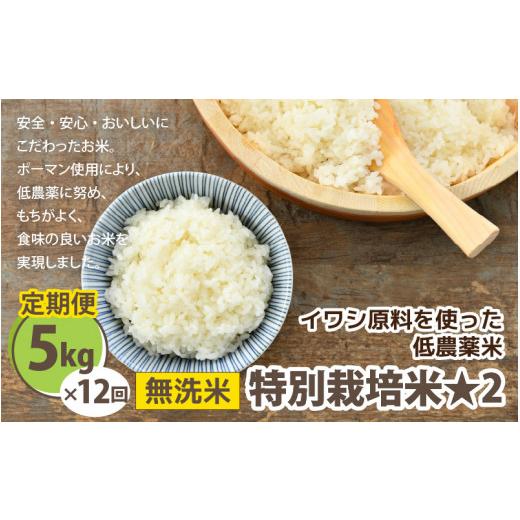 ふるさと納税 福井県 あわら市 《定期便12回》特別栽培米 コシヒカリ 5kg × 12回 （計60kg） 無洗米 低農薬 ／ 福井県 あわら市 ブランド米 白…