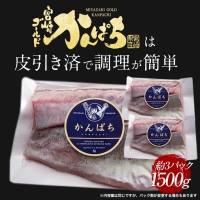 宮崎産 新海屋 鰤屋金太郎 宮崎ゴールドカンパチ 1500g　冷凍　C112_2