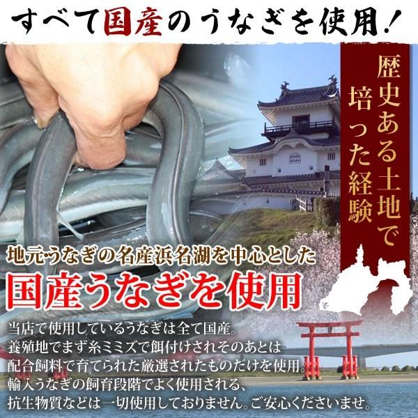 お歳暮 ギフト 2023 うなぎ 国産 プレゼント 土用の丑の日 蒲焼き 食べ物 送料無料 誕生日 ウナギ 鰻 2本 お年賀 御歳暮 御年賀 簡易箱 Gset03 1〜2人用 AA