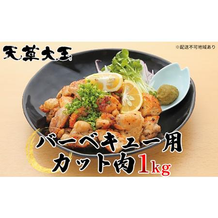 ふるさと納税 天草大王 バーベキュー用 カット肉 1kg 熊本県錦町