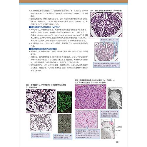 病理学 (カラーイラストで学ぶ 集中講義)