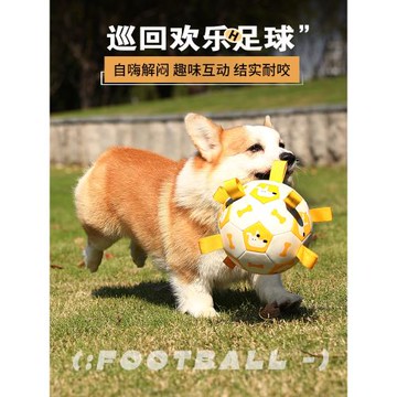 狗狗玩具球柯基邊牧拉布拉多訓練玩耍足球中大型犬寵物耐咬狗用品
