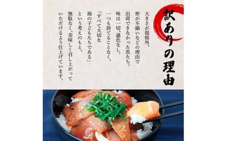 これが魚屋の漬け丼だ！～ハマチ～ 《訳あり》 ８０ｇ×１０P ハマチ はまち 漬け丼 漬け どんぶり 丼 10パック 海鮮 魚 真空パック 個食 個包装 冷凍 配送 訳あり 規格外 不揃い