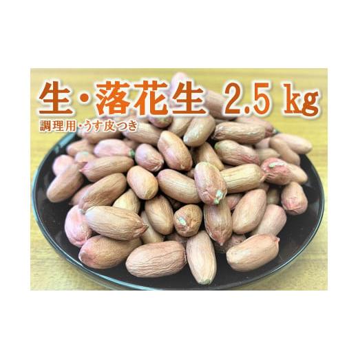 ふるさと納税 福岡県 桂川町 生・落花生（ピーナッツ）　2.5kg（殻なし・うす皮つき）