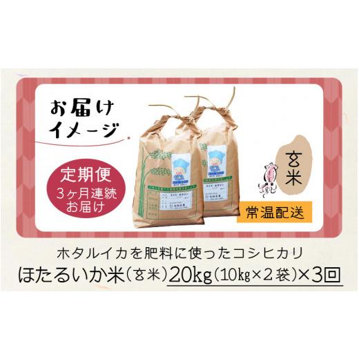 ふるさと納税 富山県 滑川市 ほたるいか米（玄米20kg）×3回 計60kg