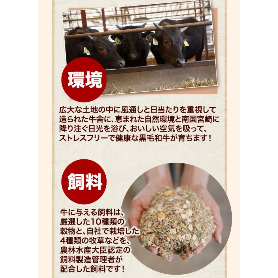 ホルモン 牛 博多 和牛小腸 九州産黒毛和牛 300g(100g x3袋) コプチャン モツ鍋 焼肉 炭火焼き クール