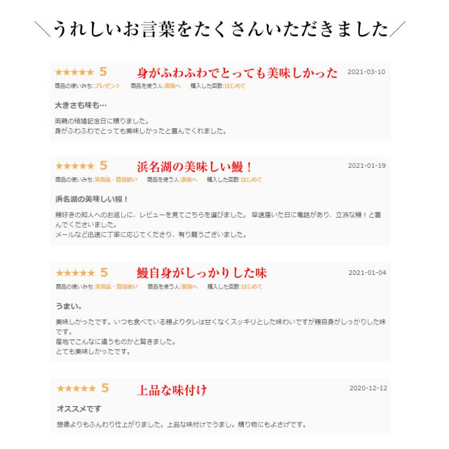 うなぎ 蒲焼 140g×2尾入り 2〜3人分 浜名湖産 送料無料 国産 ギフト お祝い 内祝 浜名湖 土用の丑の日 お取り寄せ グルメ プレゼント 鰻 ウナギ かば焼  贈答