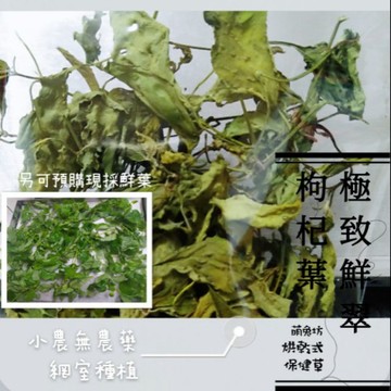 萌兔坊 枸杞葉 兔子天竺鼠保健草 寵物零食 極致鮮翠系列