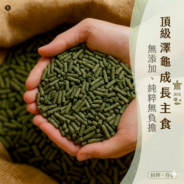 陸龜驛站｜澤龜飼料 水龜飼料 烏龜飼料 飼料 肉食 沉底飼料 烏龜 斑龜 忍者龜 麝香 屋頂 巴西 地圖 澤龜水龜 #N
