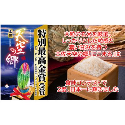 ふるさと納税 本山町 ★令和5年産★ 本山町の棚田で育てられた 土佐天空の郷　にこまる　10kg