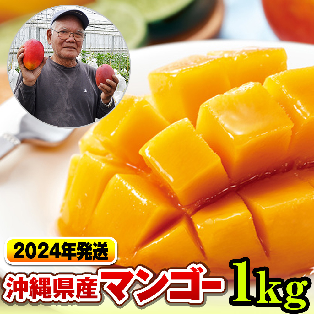 商品情報 宮崎県産完熟マンゴー1.9kg Lサイズ6玉 | forrajeraelizondo.com