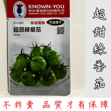 【隔日配-免運】超甜綠番茄種子 綠番茄種子 綠番茄 番茄種子 聖女番茄 綠番茄 蔬菜種子 高發芽率