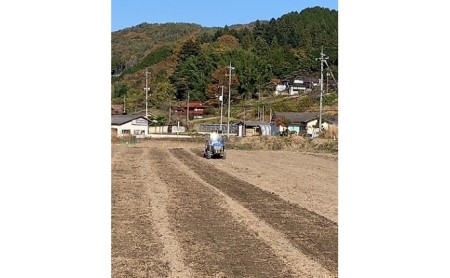 あかしろ農園の もち麦 約4kg（ キラリモチ 約1kg×4パック）