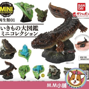 【M.M小舖】『現貨』 BANDAI 轉蛋 扭蛋 生物大圖鑑迷你集合 兩棲類P1 青蛙 生物 圖鑑 模型 全5款