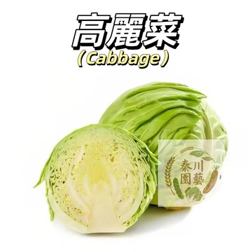 嘉義現貨（高麗菜種子）初秋高麗菜 梨山高麗菜 包菜種子 甘藍 卷心菜種子 特大甘藍種子 小院陽台中種植
