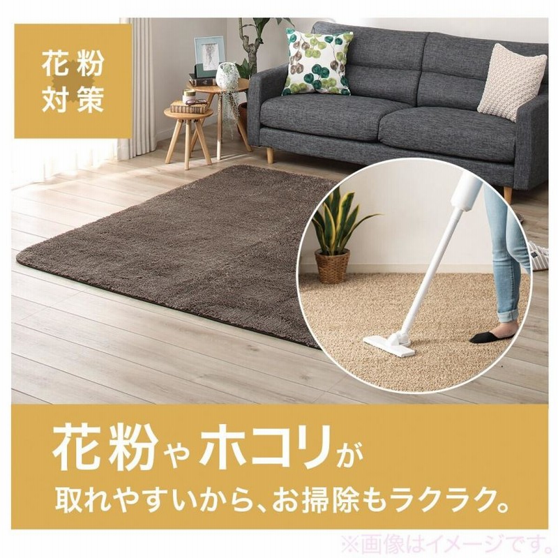 ほこりが取れやすい洗えるラグ(Nクリーンウォッシュ GY 200X240
