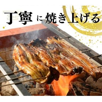 ふるさと納税 蟹江町 国産うなぎ蒲焼き　2尾セット