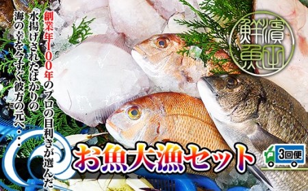 創業100年の魚屋さんが選び抜いた旨い鮮魚直送便～