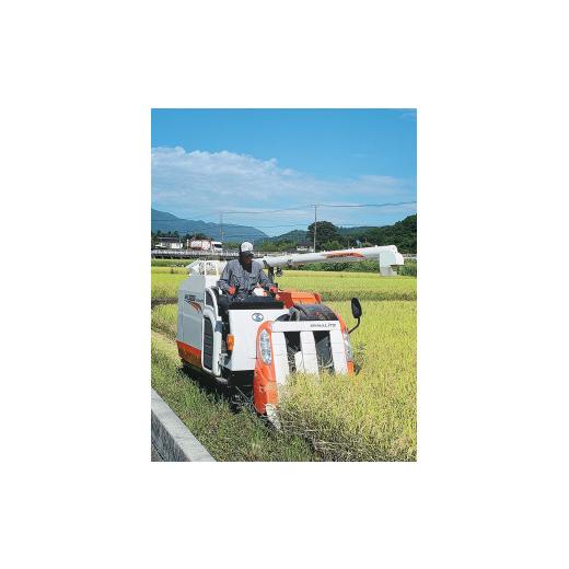 ふるさと納税 山梨県 北杜市 R5年度米 武川米農林48号 25kg