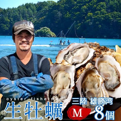 生牡蠣 殻付き M 8個 生食用 生ガキ 宮城県産 漁師直送 格安 生かき お取り寄せ バーベキュー［お歳暮 2023 ギフト 御歳暮］