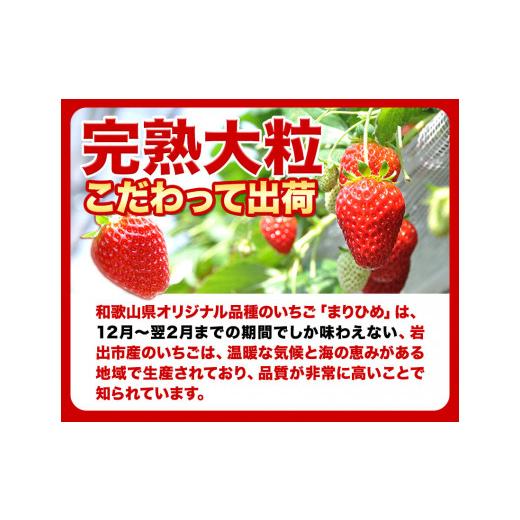 ふるさと納税 和歌山県 岩出市 完熟いちご大粒まりひめ 700g(350g×２パック) よしむら苺ファーム 《12月上旬-4月中旬頃より順次出荷》 和歌山県 岩出市 いち…