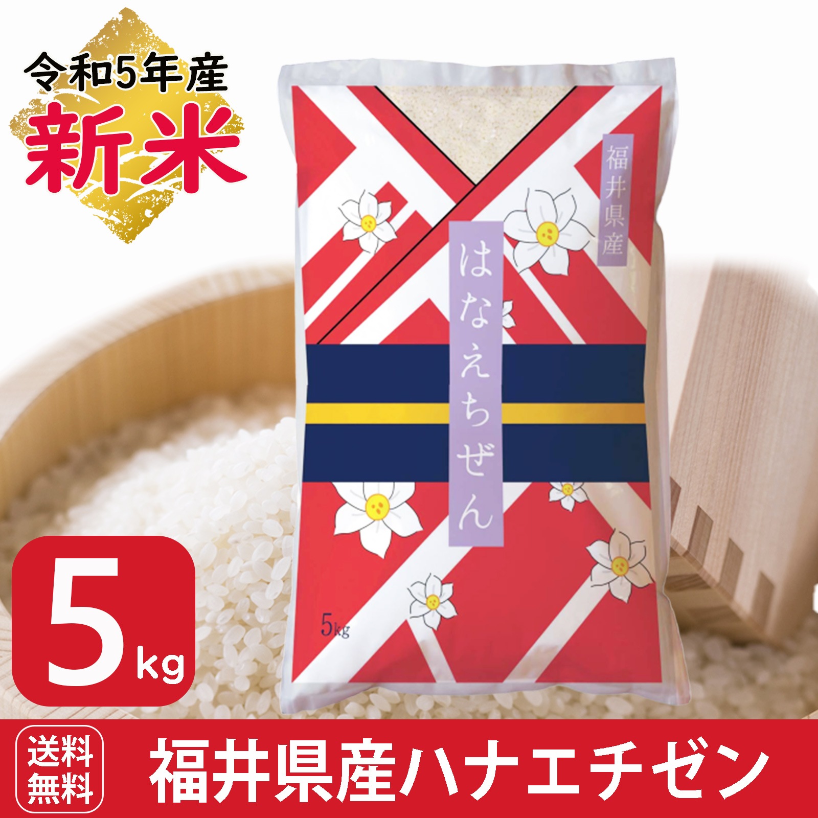 新米 福井県産ハナエチゼン 5kg 白米 令和5年産