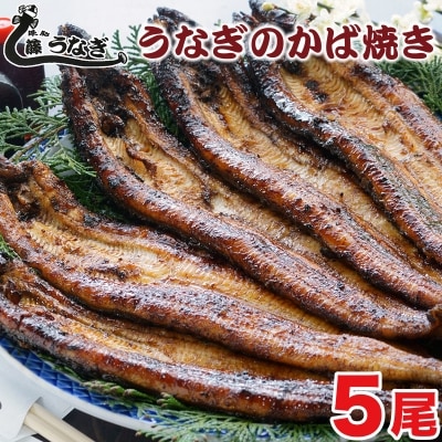 藤うなぎ　かば焼き　5尾[1161]