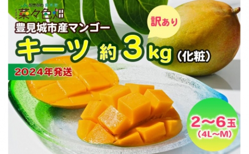 キーツマンゴー約3kg（白箱）訳ありご家庭用