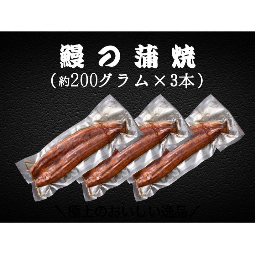 うなぎ 鰻 ウナギ 国産 うなぎ蒲焼 大サイズ蒲焼1尾 解凍前約200g(解凍後約185g) ×3