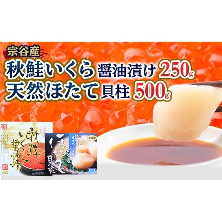 ふるさと納税 秋鮭いくら醤油漬け250g 宗谷岬の天然ほたて500g 北海道稚内市