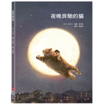 夜晚奔馳的貓【城邦讀書花園】