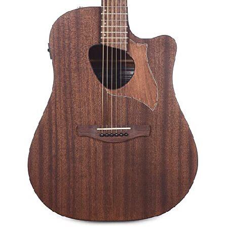 Ibanez ALT20 Acoustic Open Pore Natural