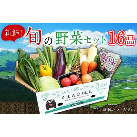 ふるさと納税 旬の新鮮野菜たっぷり16品セット★御船町産を中心とした旬の野菜セット 冷蔵 詰め合わせ 季節の野菜 安心・安全の野菜セット《30日.. 熊本県御船町