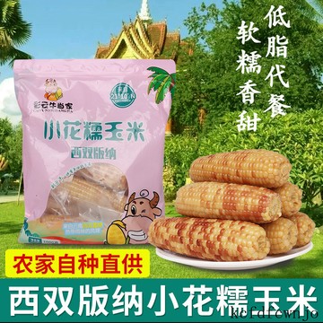 現💯貨  雲南西雙版納小花糯玉米單根120+香糯玉米2斤新鮮玉米 THPI